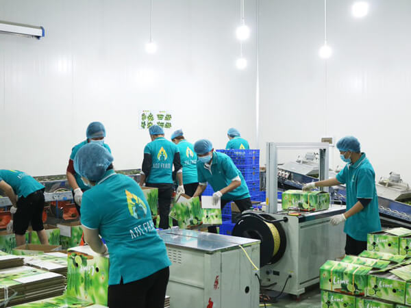 农场图片 600x450 08