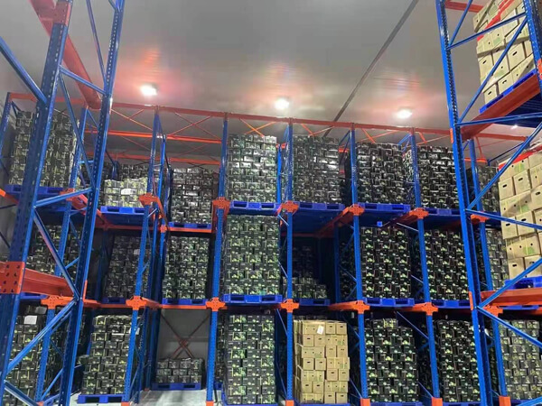 我们的农场工厂 01