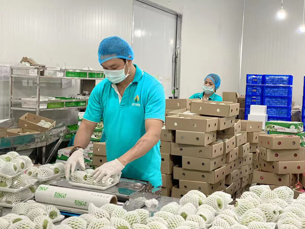 我们的农场工厂 03