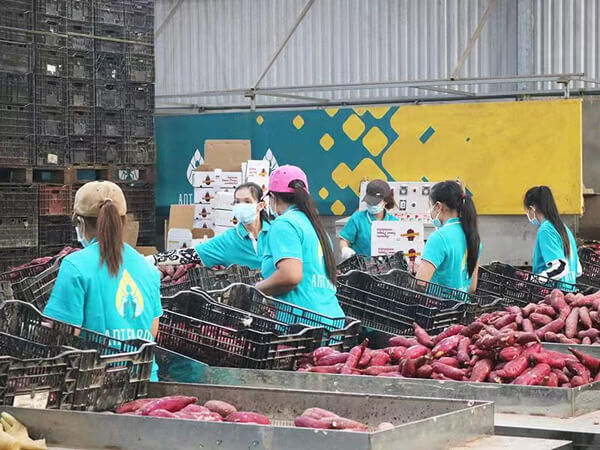 我们的农场工厂 04